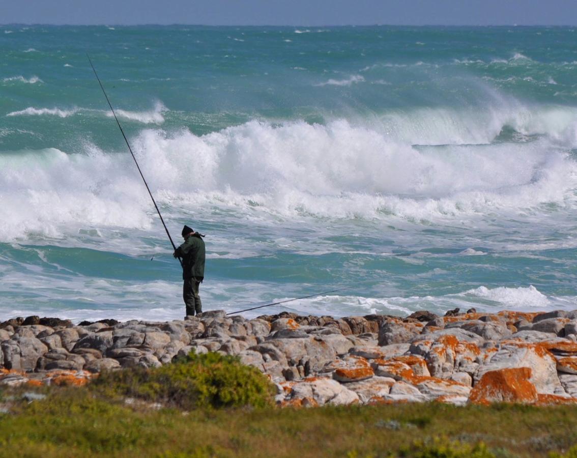 The Goose Nest Apartment Struisbaai Bagian luar foto