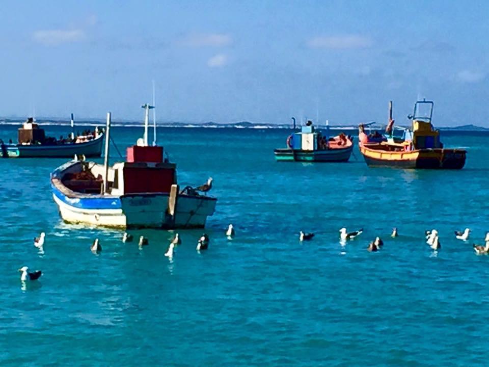 The Goose Nest Apartment Struisbaai Bagian luar foto